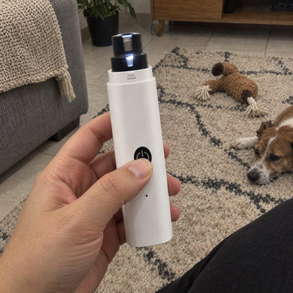 Patinha · Lixa de unha pet com LED (detalhe)