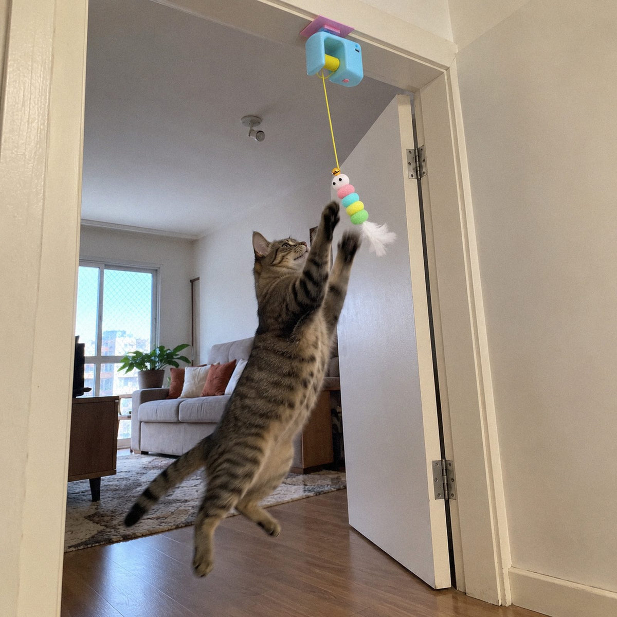 Pardal · Brinquedo de porta automático pra gato (em uso)