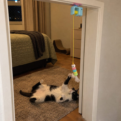 Pardal · Brinquedo de porta automático pra gato (no dia a dia)