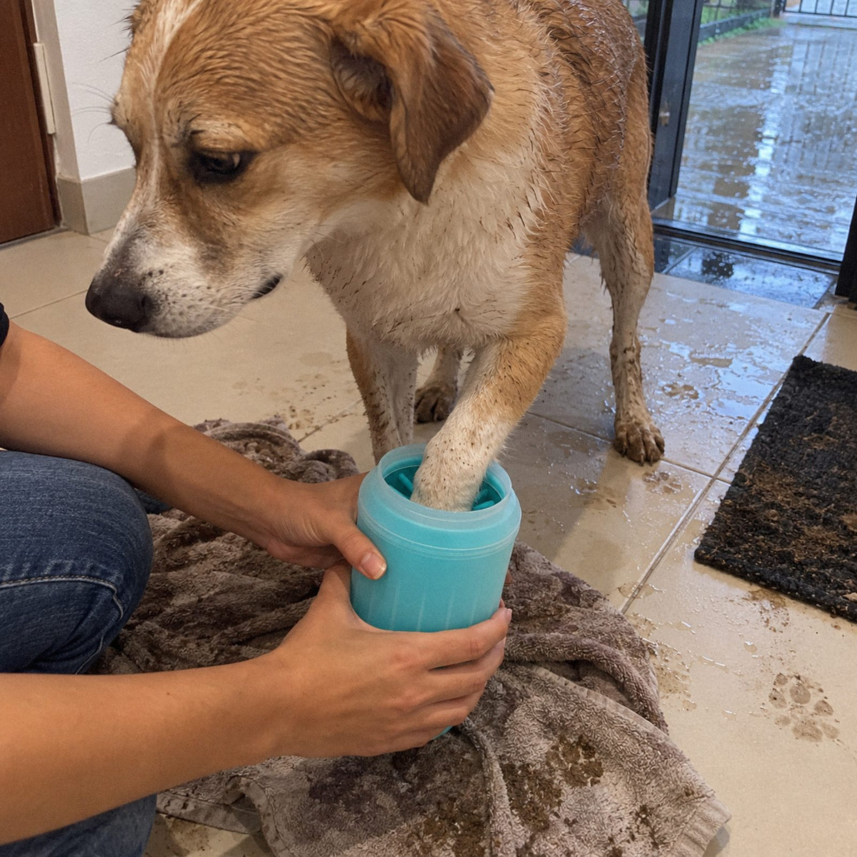 Pezinho · Copo limpa-patas pra pet (em uso)